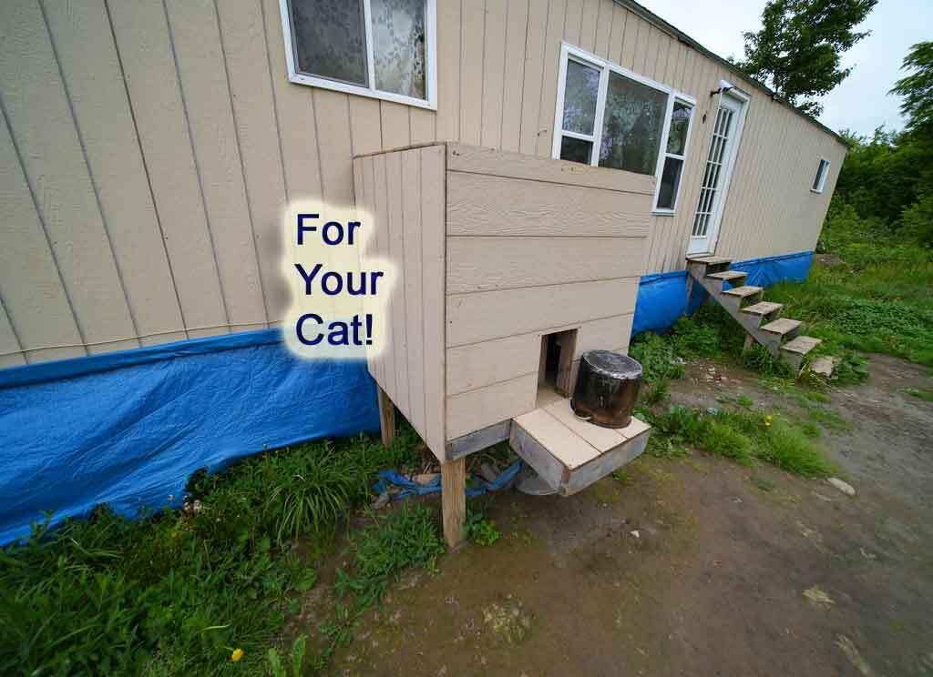 823 Highway 1 Amity, ME 04471 - Photo 14 of 68 cat-house-me-property