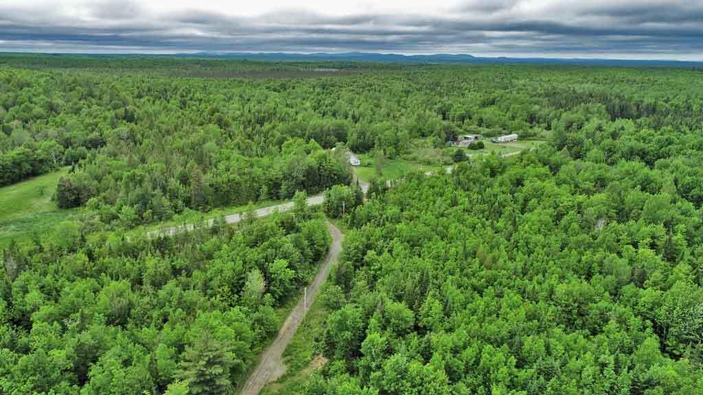 823 Highway 1 Amity, ME 04471 - Photo 22 of 68 driveway-amity-me-land