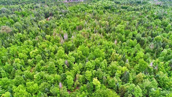 $88,000 | 823 Highway 1, Amity, ME 04471