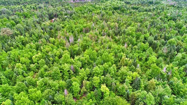 $92,500 | 823 Highway 1, Amity, ME 04471