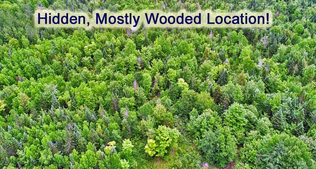 823 Highway 1 Amity, ME 04471 - Photo 32 of 68 wooded-lanbd-in-maine