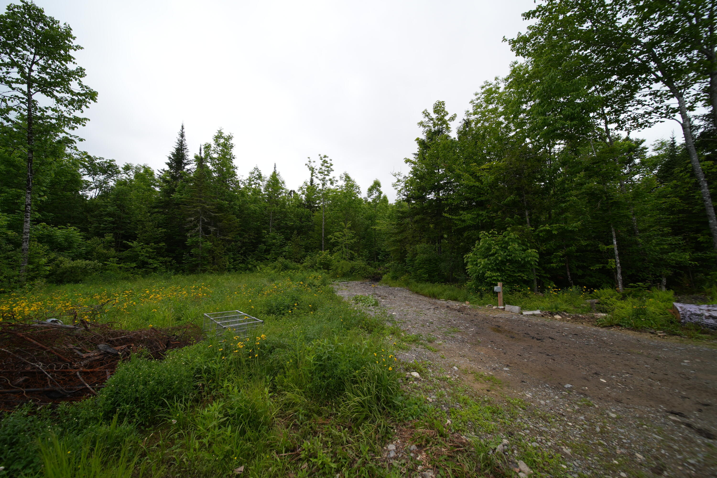 823 Highway 1 Amity, ME 04471 - Photo 68 of 68 DSC06123