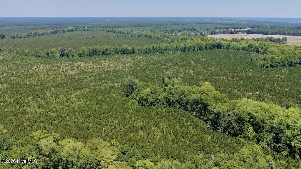 500 Indian Trail Road Edenton, NC 27932 - Photo 24 of 60