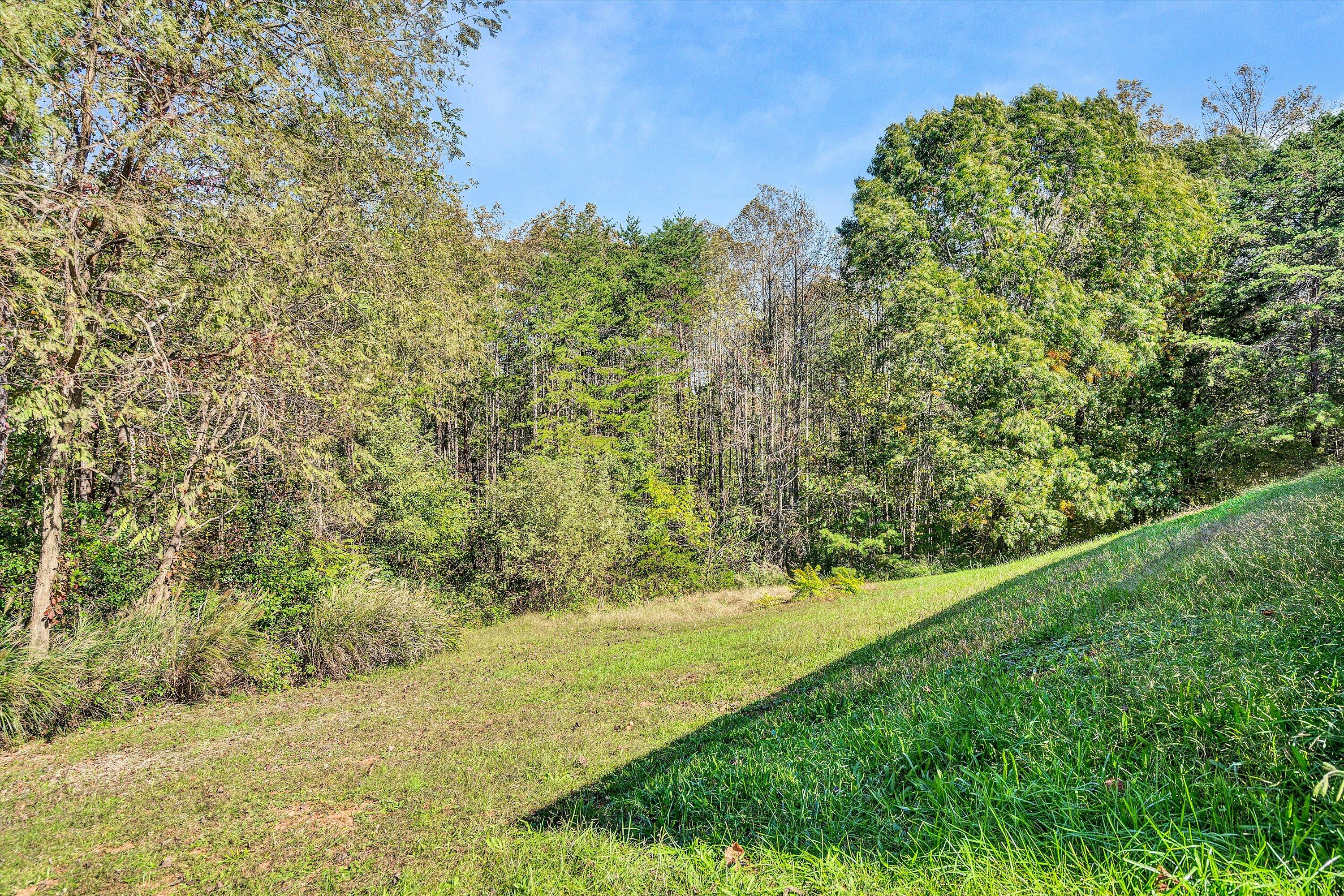687 Country Ridge Road Bassett, VA 24055 - Photo 25 of 27 025