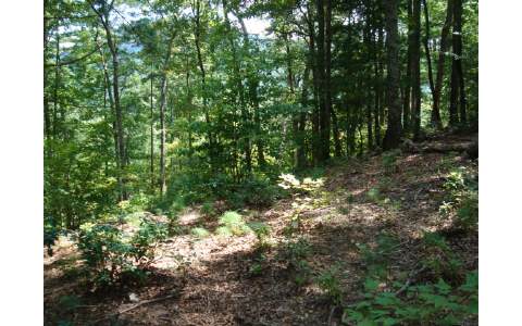11 B Prospectors Road Blairsville, GA 30512 - Photo 3 of 4 Additional View