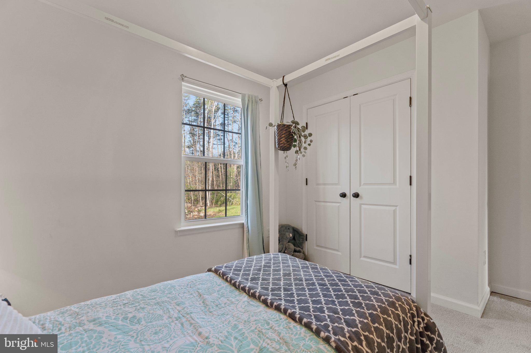 4520 Partlow Road Partlow, VA 22534 - Photo 22 of 34