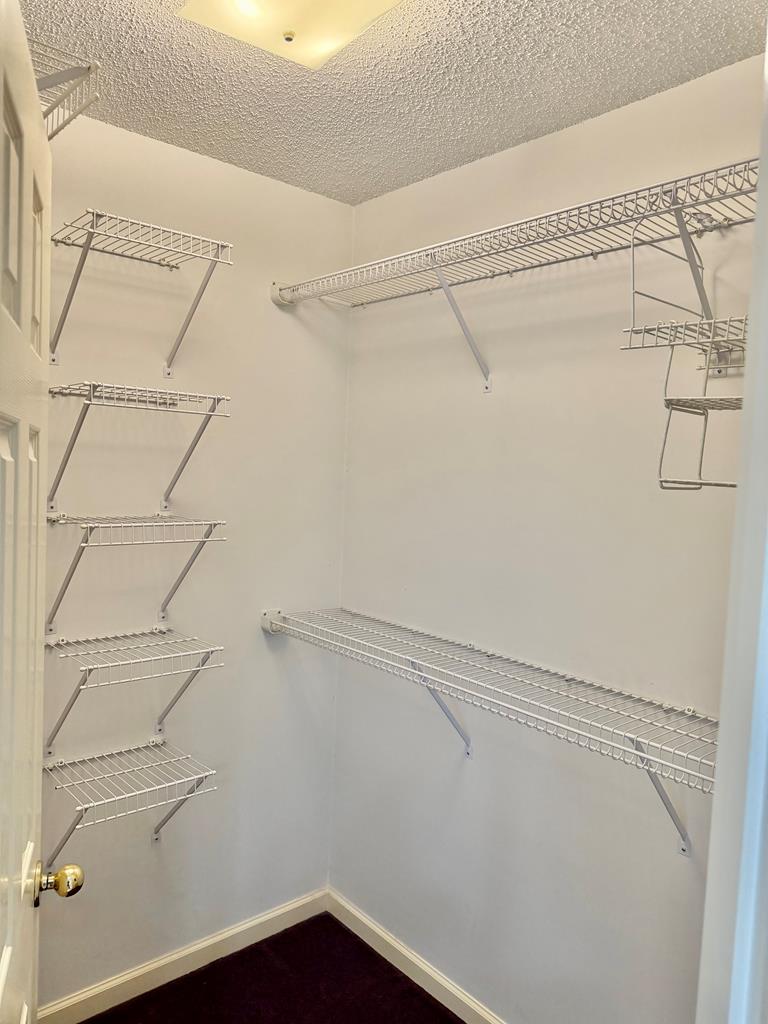 3341 Flowers Chapel Road Dothan, AL 36305 - Photo 61 of 80 2nd Walk-In Closet