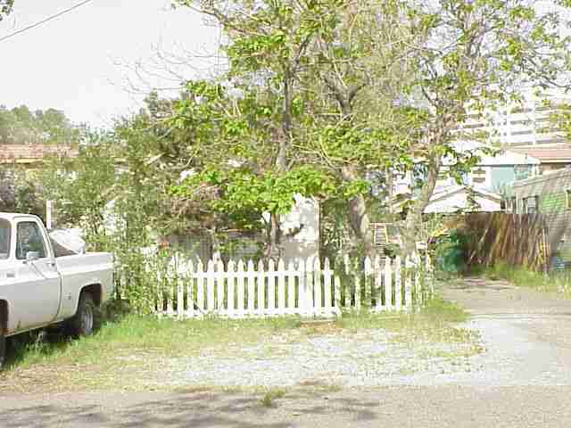 375 Gould Street Reno, NV 89502 - Photo 1 of 1 a view of a house with backyard and a tree