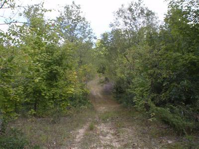 Thorpe Road Bear Lake, MI 49614 - Photo 3 of 8 Additional Photo