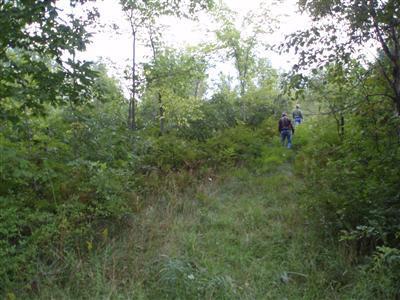 Thorpe Road Bear Lake, MI 49614 - Photo 4 of 8 Additional Photo