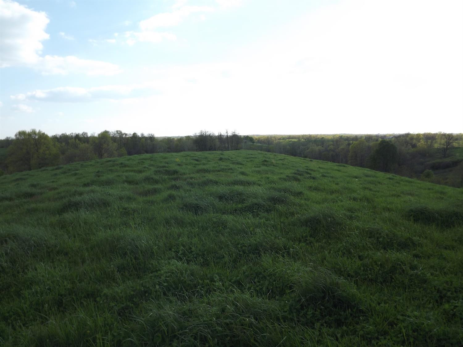 5000 Battle Road Mackville, KY 40040 - Photo 20 of 35 Photo 20