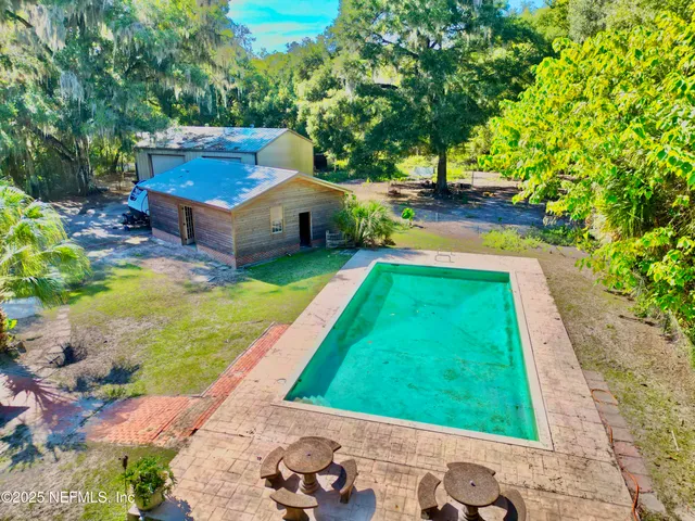 a view of a field with a plant