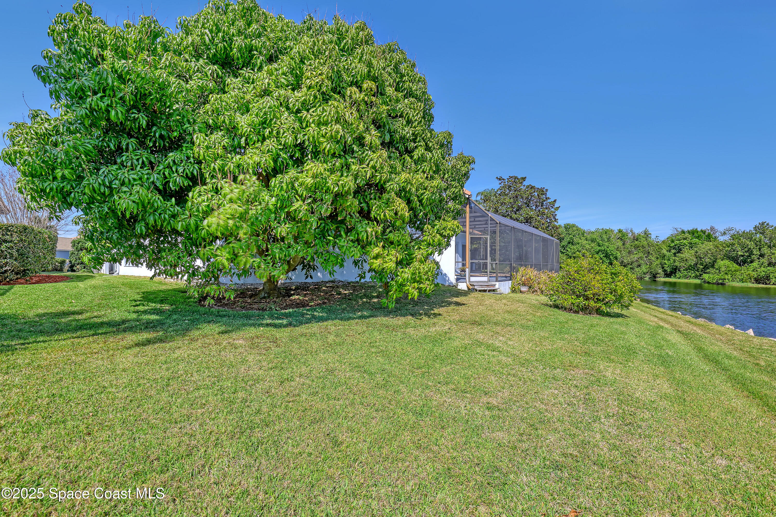 813 Hogan Way Melbourne, FL 32940 - Photo 40 of 50 a backyard of a house with lots of green space