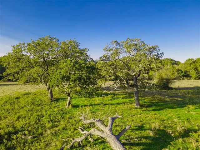 a view of a field with an ocean