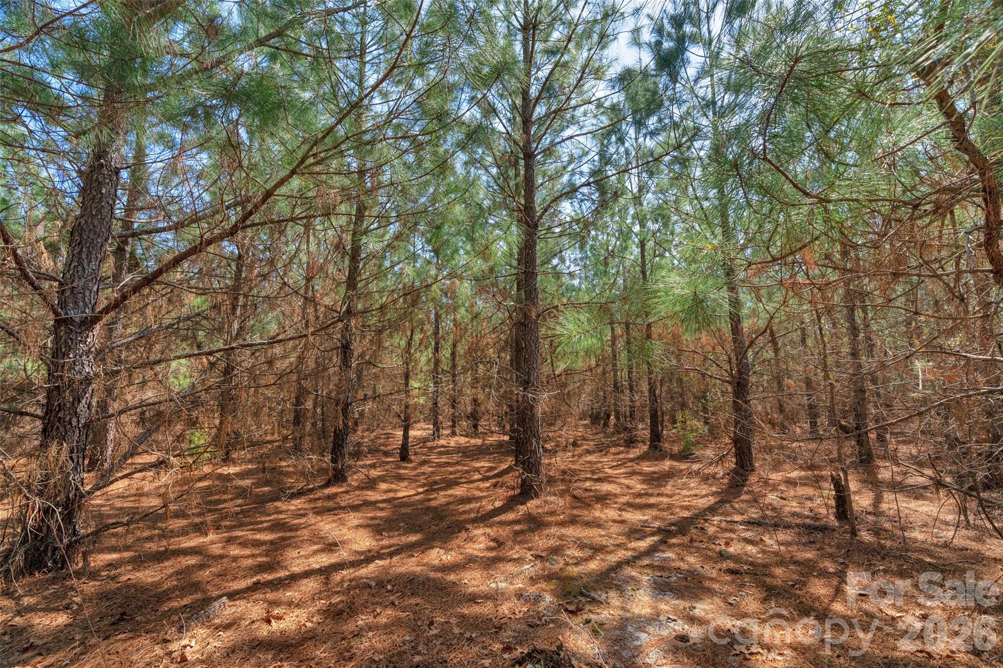 931 Charlie Johnson Road, Unit 9 Kershaw, SC 29067 - Photo 20 of 32 Gallery Image 20