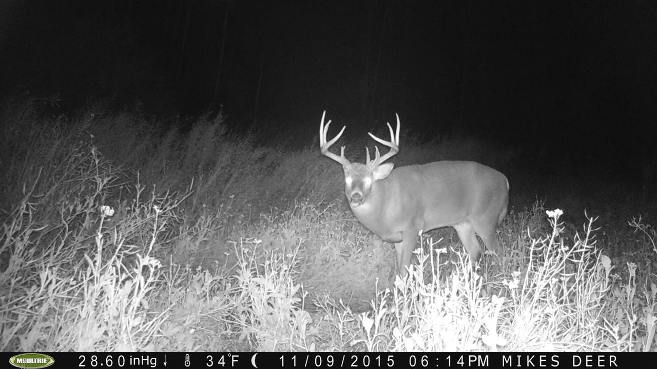 84-acres County Road West Merrill, WI 54452 - Photo 1 of 1