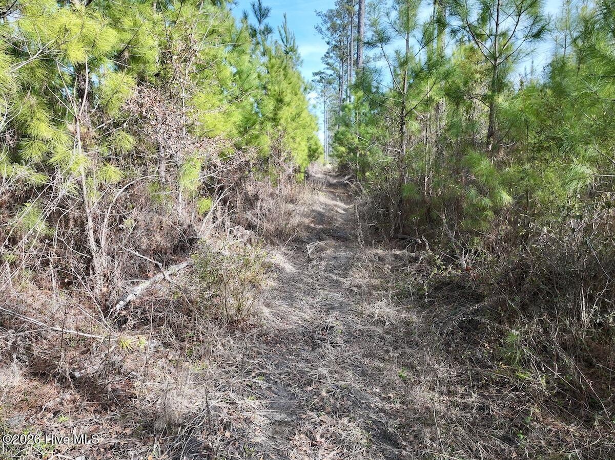 0 Old Washington Road Vanceboro, NC 28586 - Photo 21 of 34 21