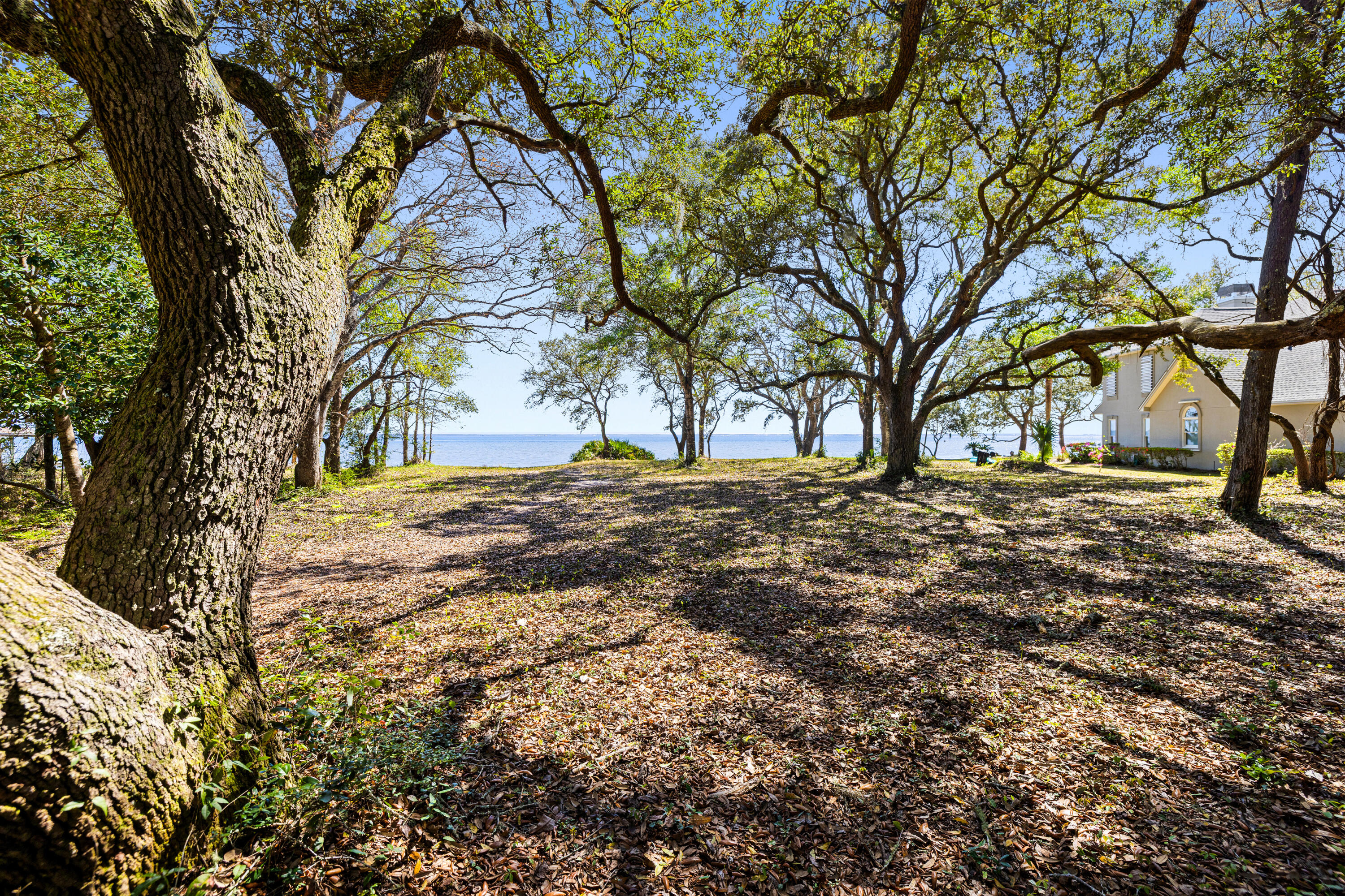 Lot 9 Cedar Beach Cove Freeport, FL 32439 - Photo 32 of 41 a view of yard with tree