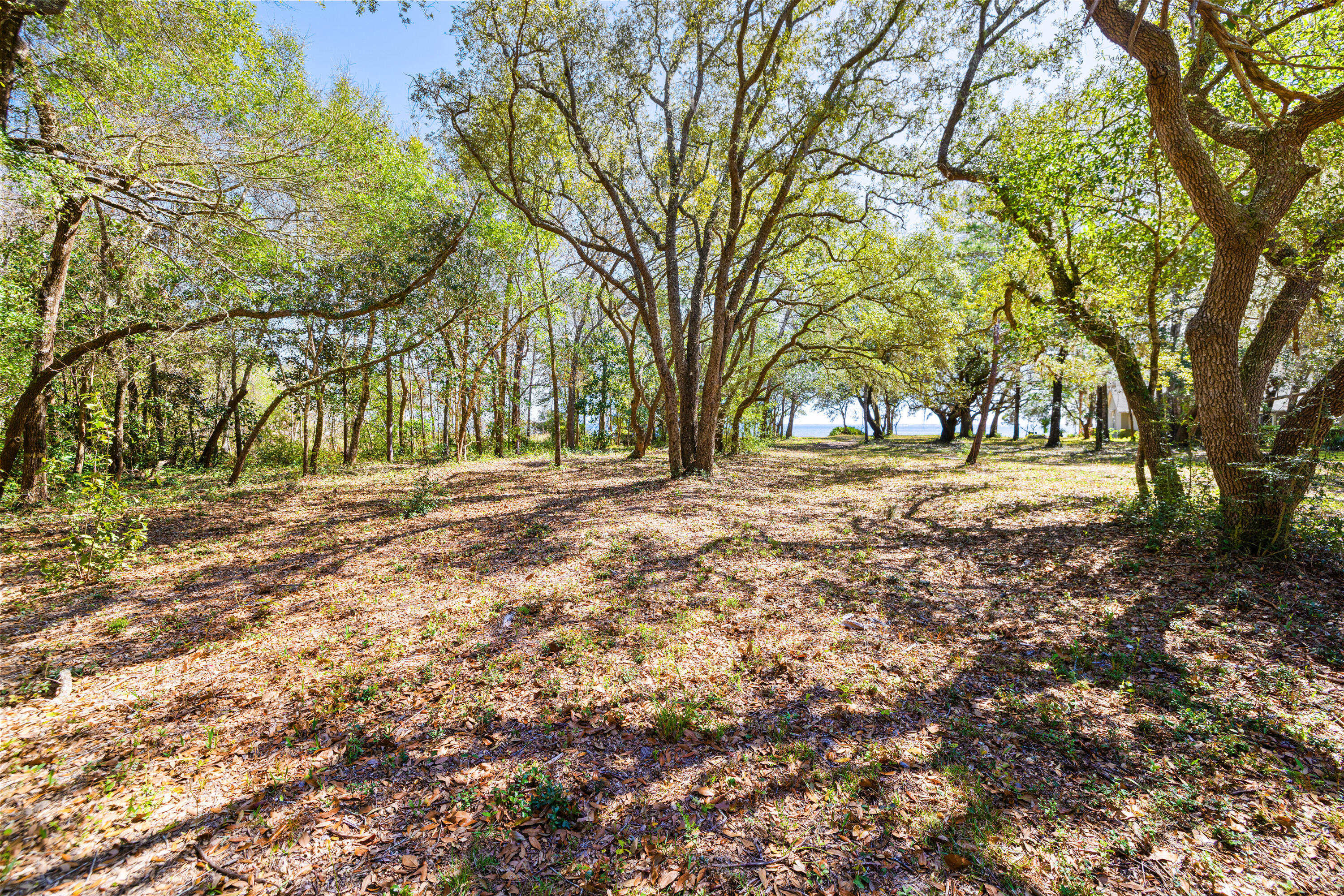 Lot 9 Cedar Beach Cove Freeport, FL 32439 - Photo 35 of 41 a view of dirt yard with a large tree