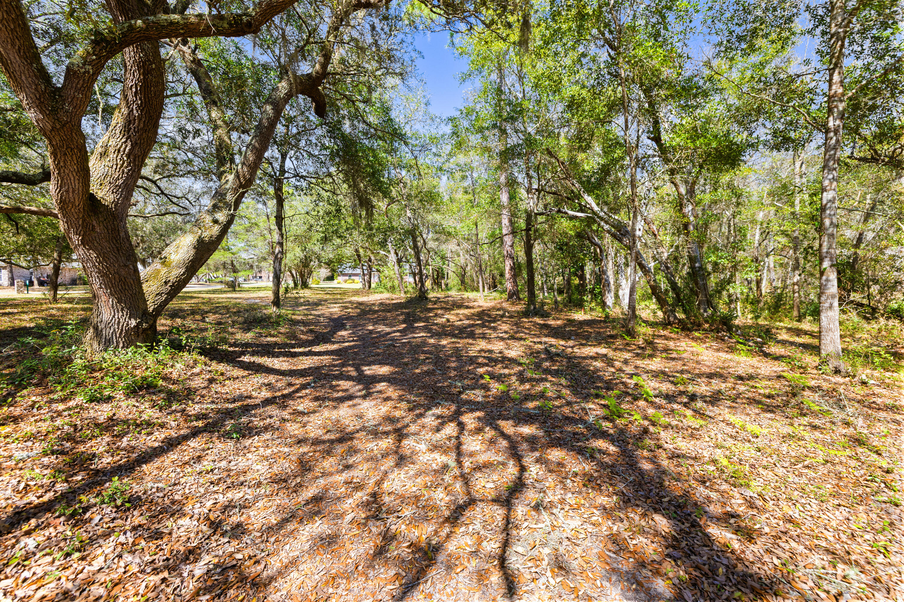 Lot 9 Cedar Beach Cove Freeport, FL 32439 - Photo 36 of 41 a view of outdoor space with trees