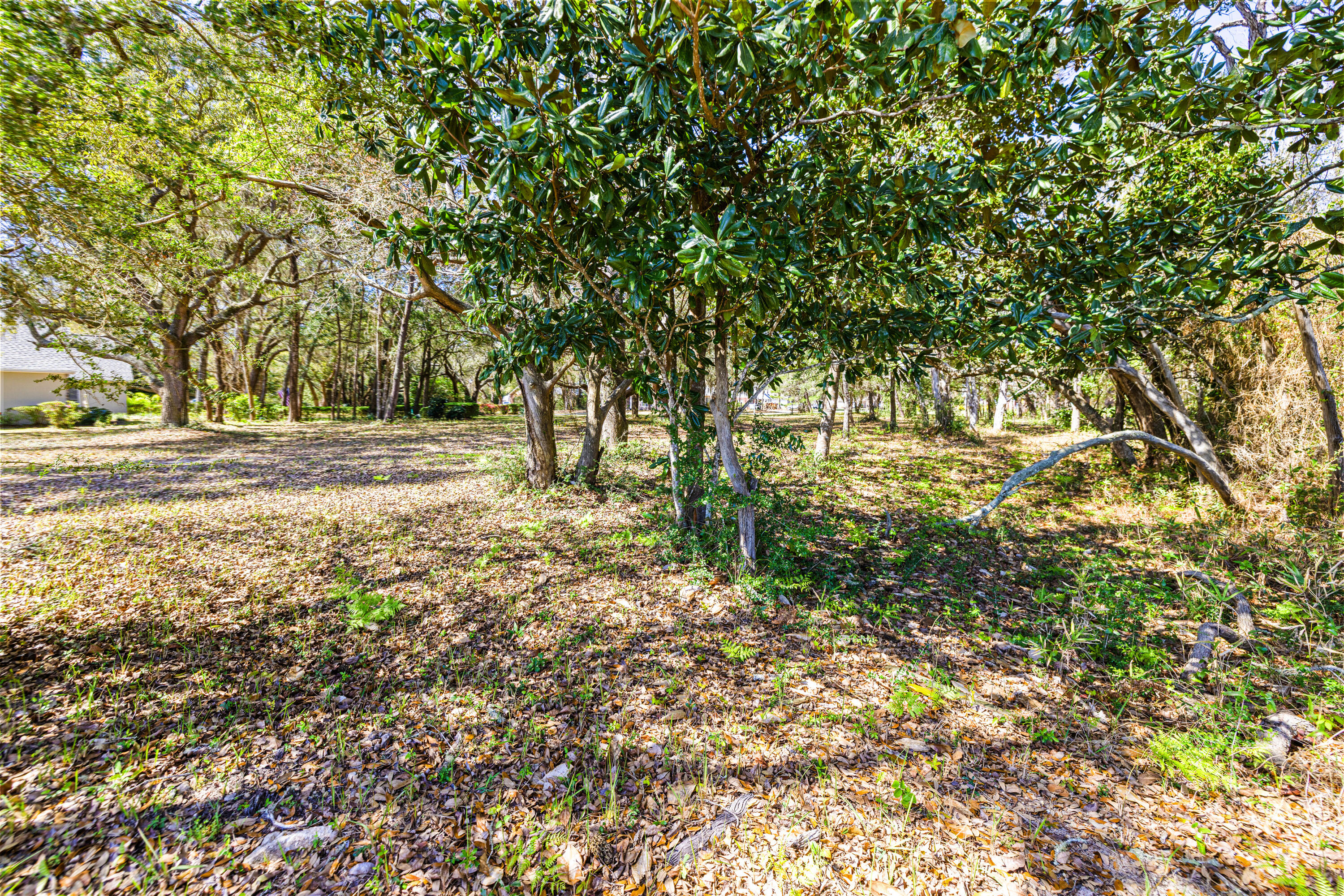 Lot 9 Cedar Beach Cove Freeport, FL 32439 - Photo 37 of 41 a view of yard with trees