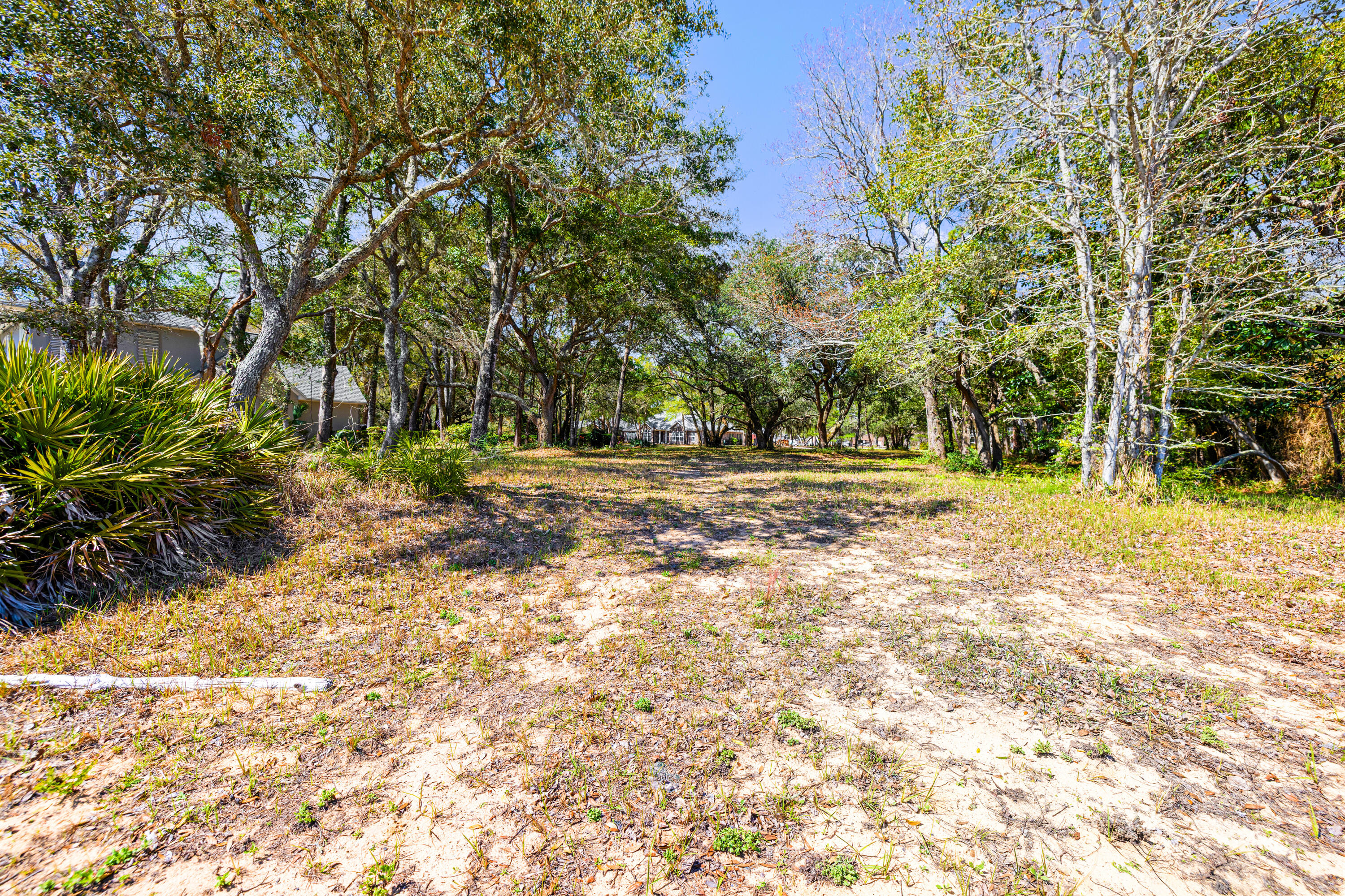 Lot 9 Cedar Beach Cove Freeport, FL 32439 - Photo 38 of 41 a view of outdoor space with trees
