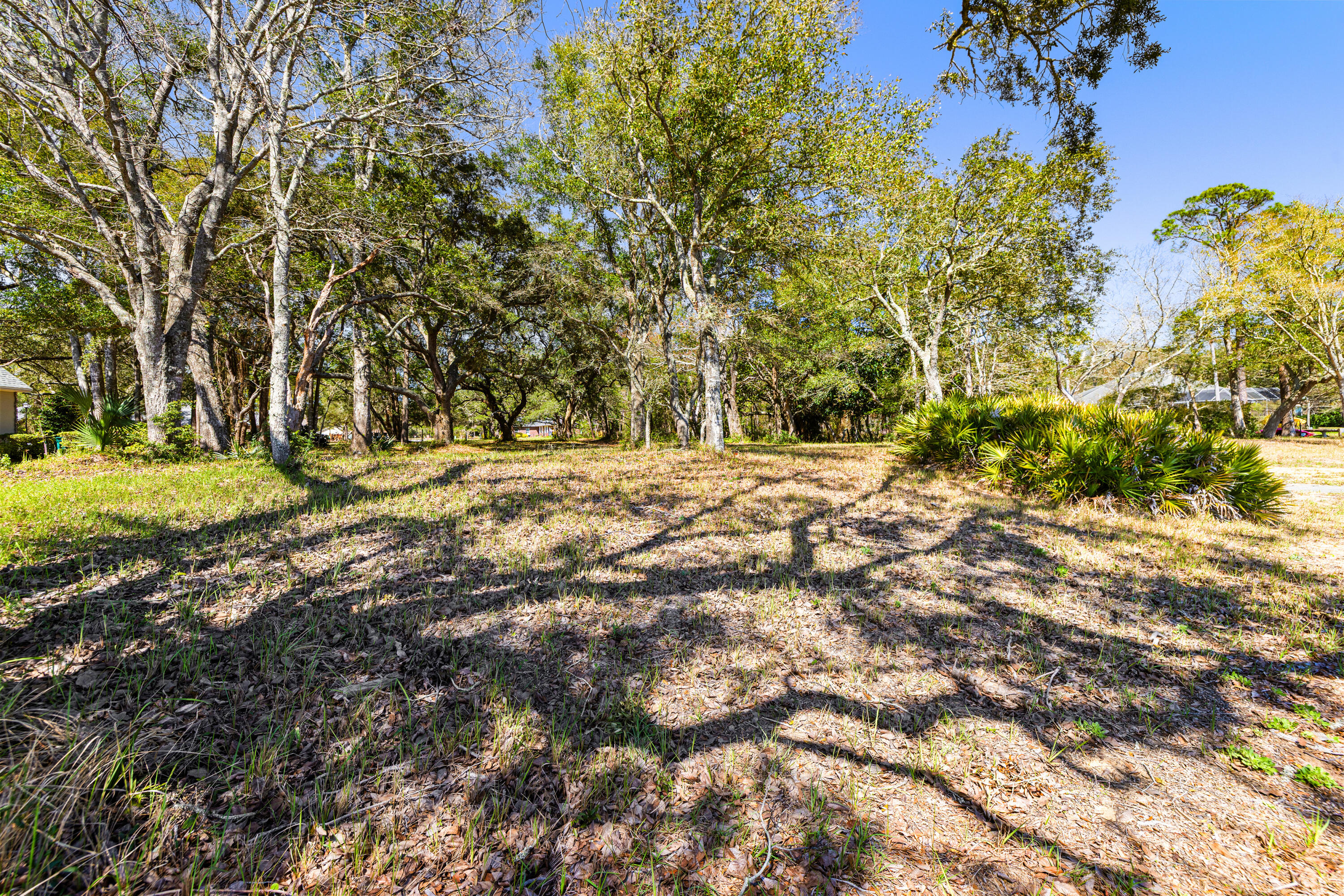 Lot 9 Cedar Beach Cove Freeport, FL 32439 - Photo 39 of 41 a view of a yard with a tree