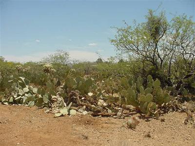 2830 East Andrada Road Vail, AZ 85641 - Photo 3 of 6 Gallery Image 3