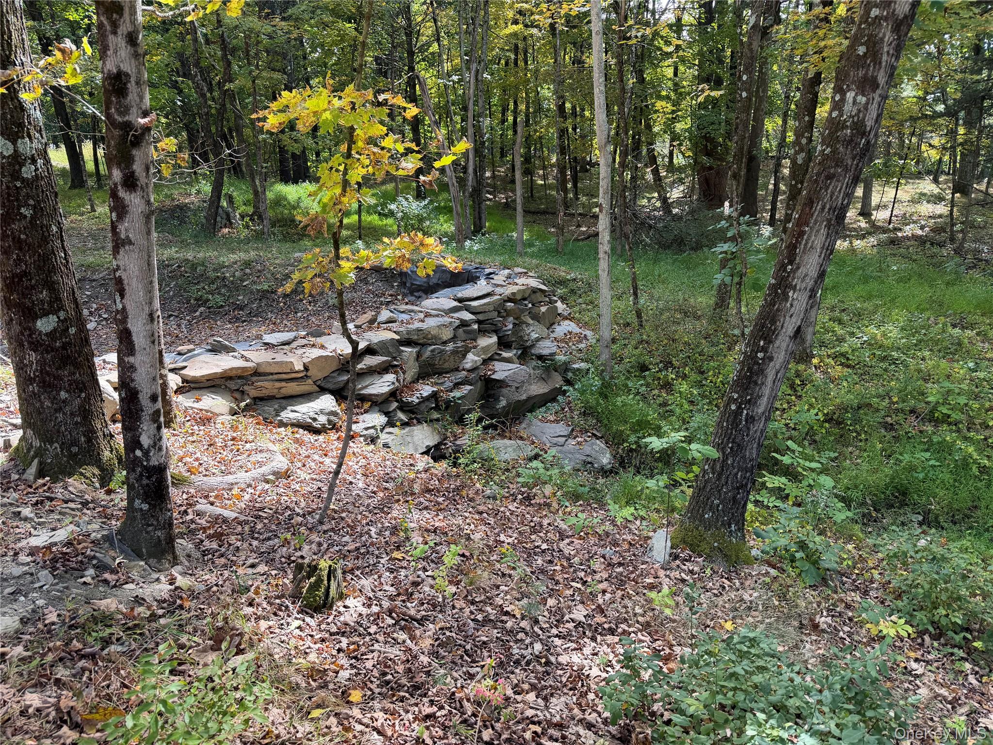 Lot 2 Church Road Red Hook, NY 12571 - Photo 4 of 16 Gallery Image 4