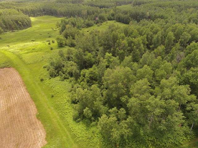 9631 Rocky Run Road Harshaw, WI 54529 - Photo 16 of 20 Gallery Image 16