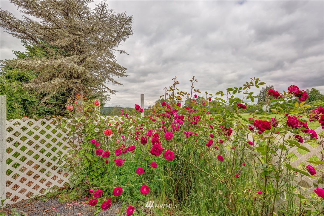 1508 Ceres Hill Road Chehalis, WA 98532 - Photo 22 of 24