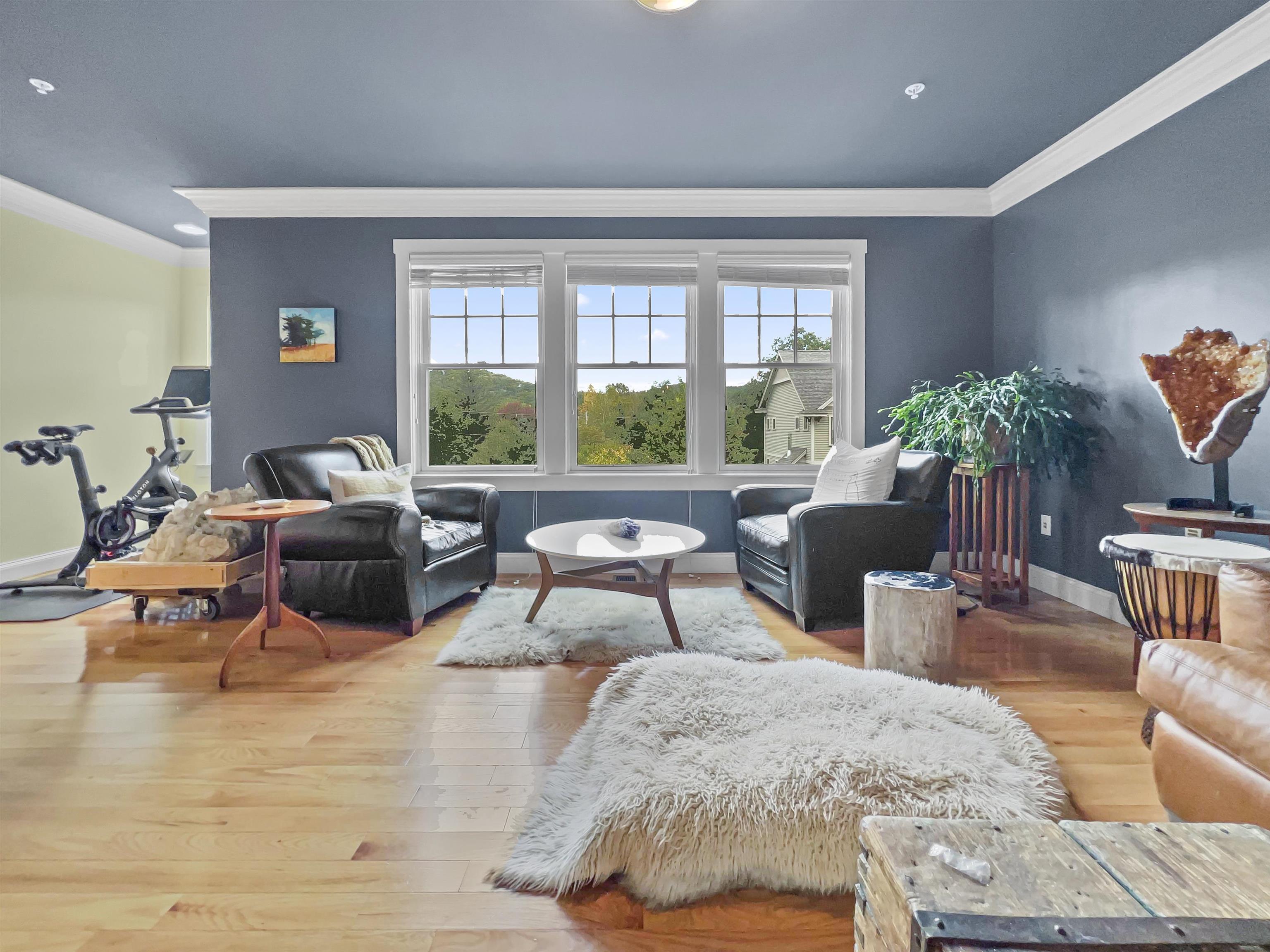 337 Mt Support Road, Unit 703 Lebanon, NH 03766 - Photo 3 of 22