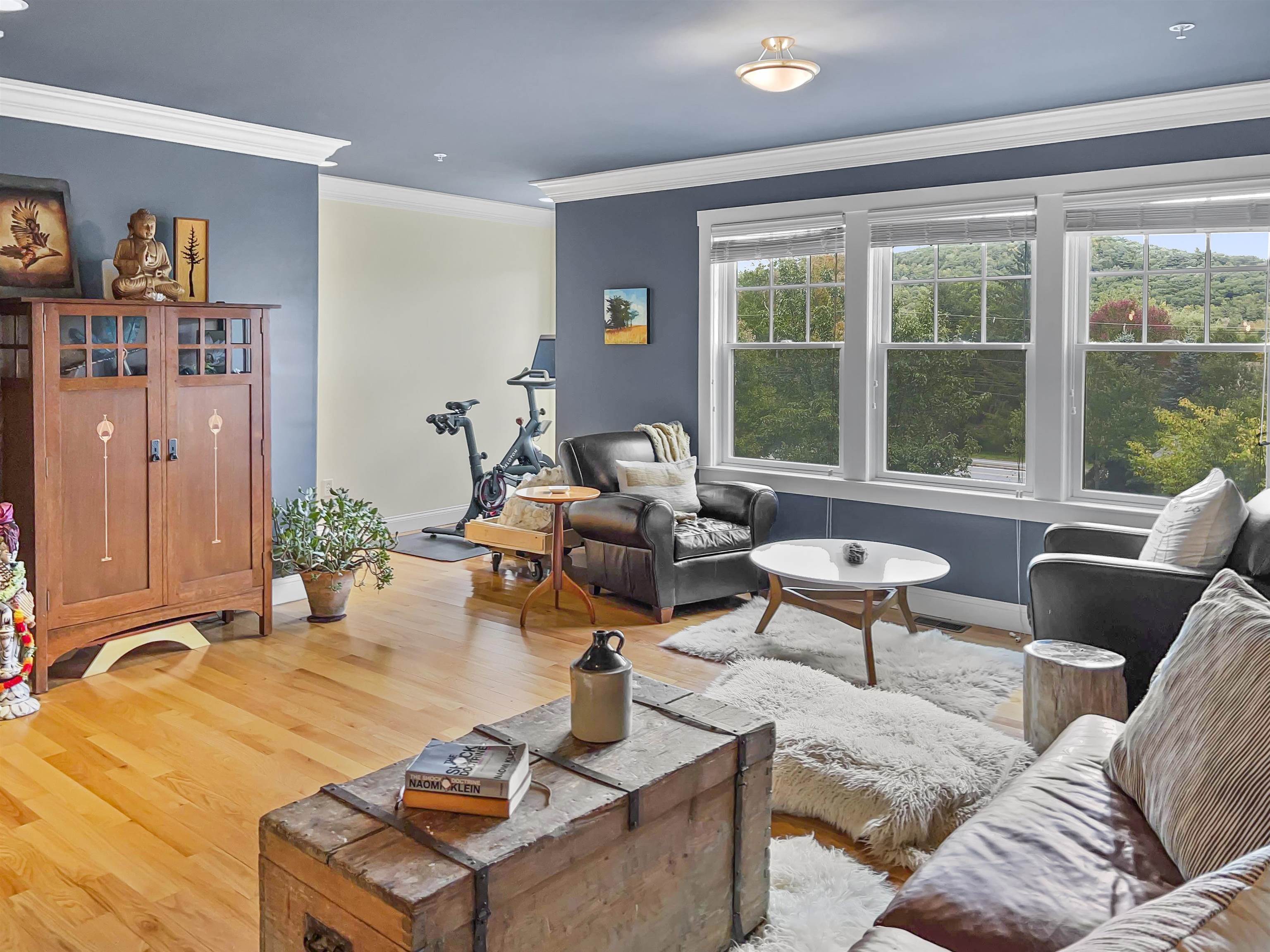 337 Mt Support Road, Unit 703 Lebanon, NH 03766 - Photo 10 of 22