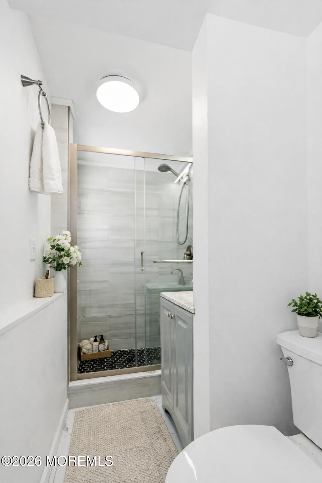 96 Twin Rivers Drive Toms River, NJ 08753 - Photo 35 of 37 a bathroom with a shower and a toilet