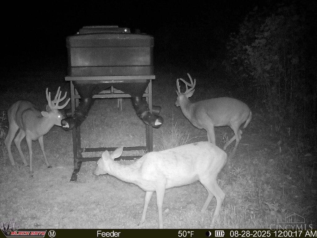 A Enley Road McDermott, OH 45652 - Photo 36 of 97