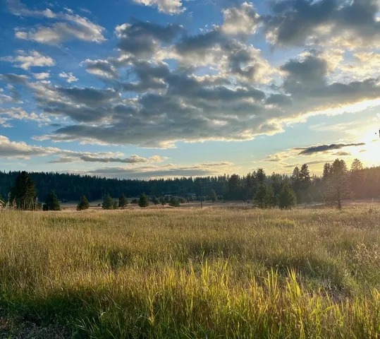 $185,000 | Lot 17 Whitefield Lane, Unit 17, McCall, ID 83638