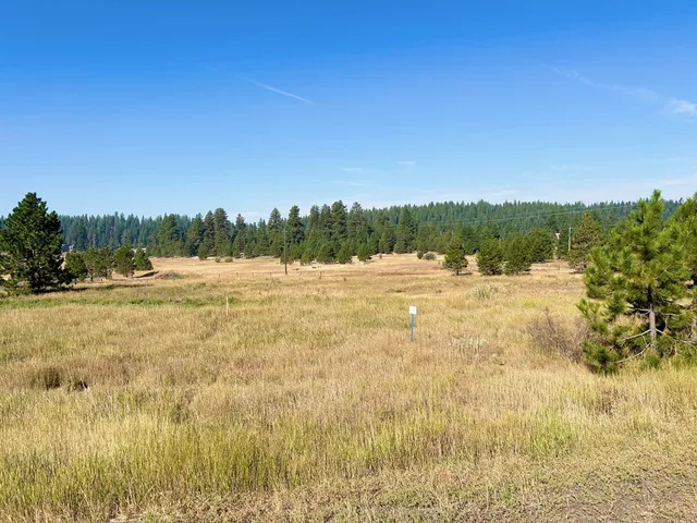 $185,000 | Lot 17 Whitefield Lane, Unit 17, McCall, ID 83638