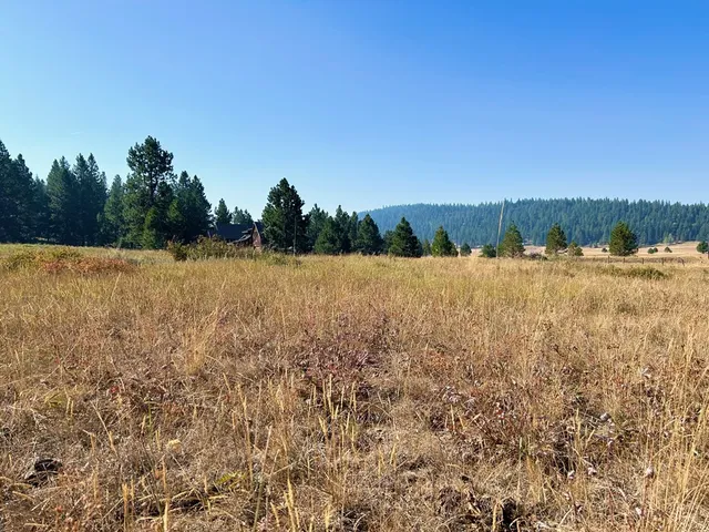 $185,000 | Lot 17 Whitefield Lane, Unit 17, McCall, ID 83638