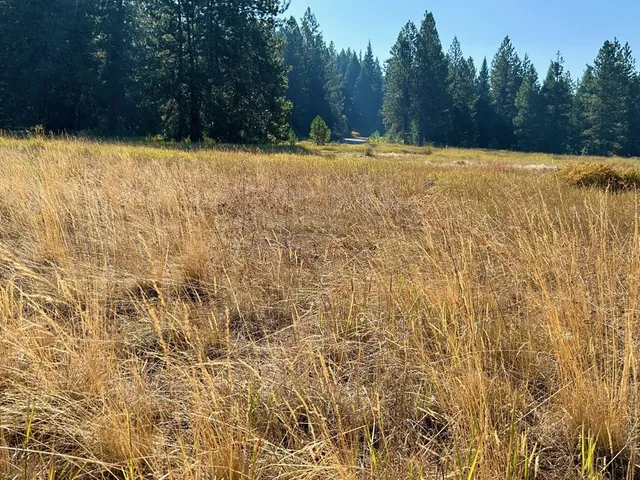 $185,000 | Lot 17 Whitefield Lane, Unit 17, McCall, ID 83638