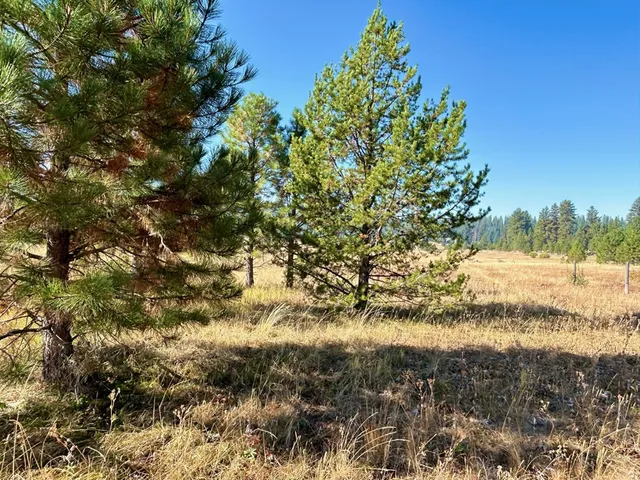 $185,000 | Lot 17 Whitefield Lane, Unit 17, McCall, ID 83638