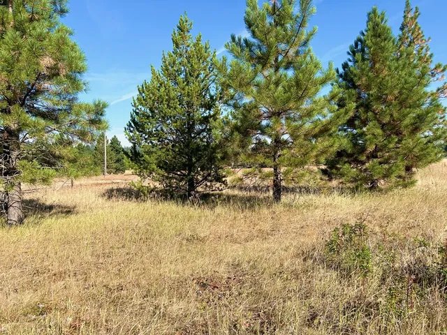 $185,000 | Lot 17 Whitefield Lane, Unit 17, McCall, ID 83638