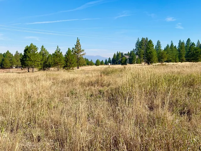 $185,000 | Lot 17 Whitefield Lane, Unit 17, McCall, ID 83638