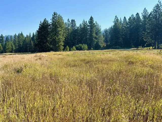 $185,000 | Lot 17 Whitefield Lane, Unit 17, McCall, ID 83638