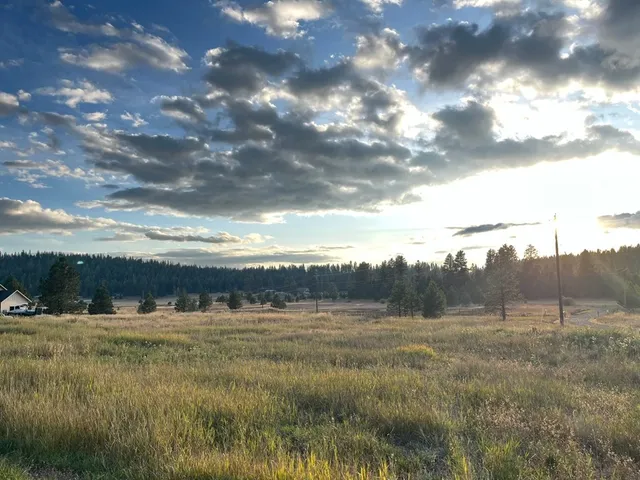 $185,000 | Lot 17 Whitefield Lane, Unit 17, McCall, ID 83638