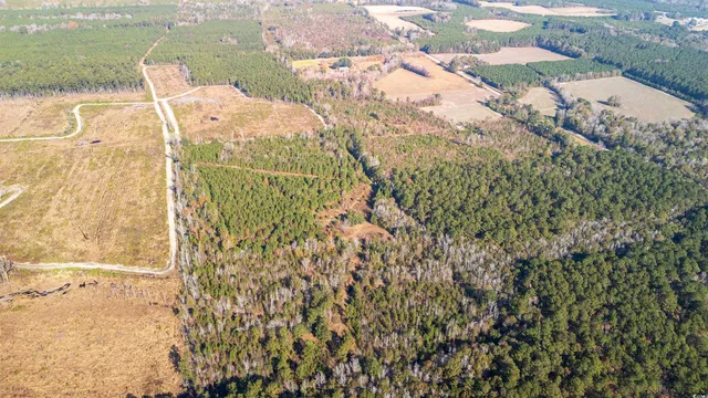 $875,000 | Easler Highway, Greeleyville, SC 29056