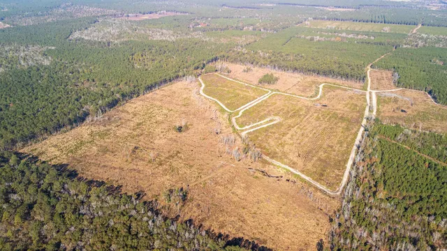 $875,000 | Easler Highway, Greeleyville, SC 29056