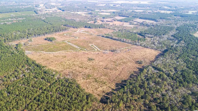 $875,000 | Easler Highway, Greeleyville, SC 29056