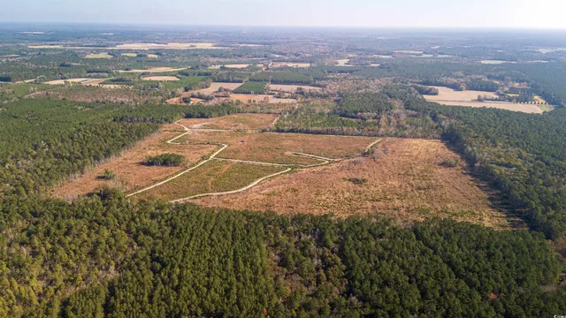 $875,000 | Easler Highway, Greeleyville, SC 29056