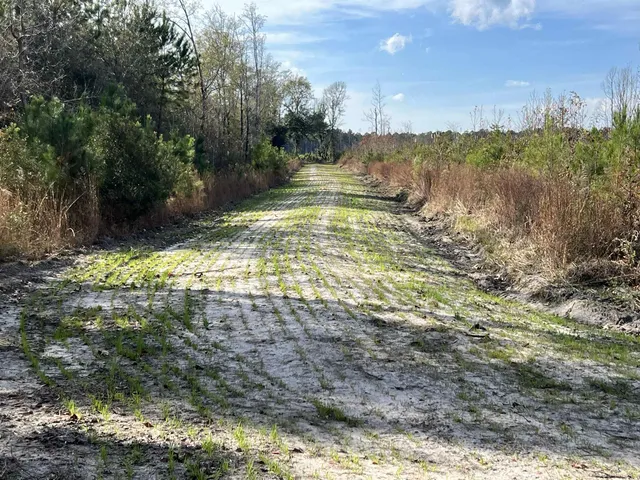 $875,000 | Easler Highway, Greeleyville, SC 29056