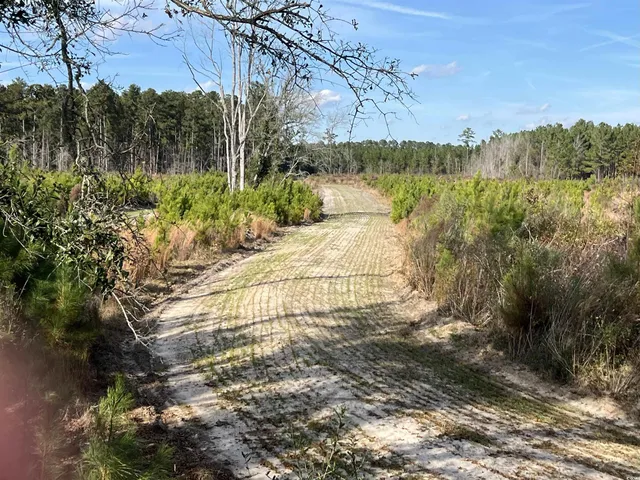 $875,000 | Easler Highway, Greeleyville, SC 29056